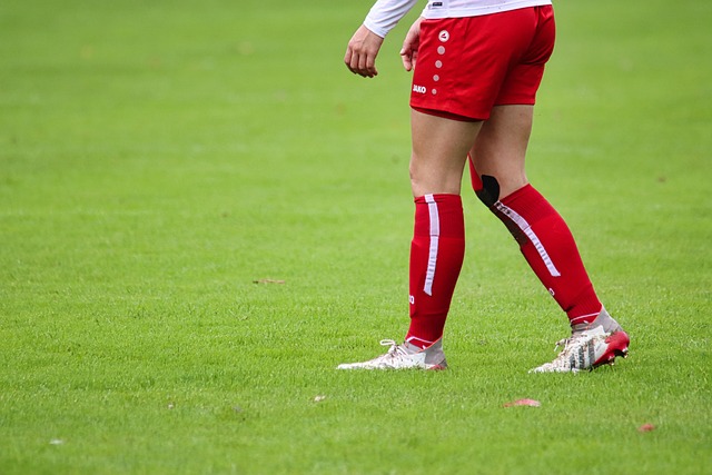 两国在球员 两国在球员