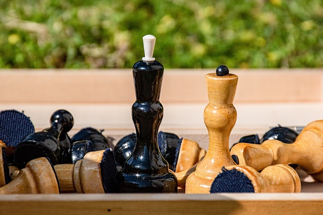 本国公共安 本国公共安