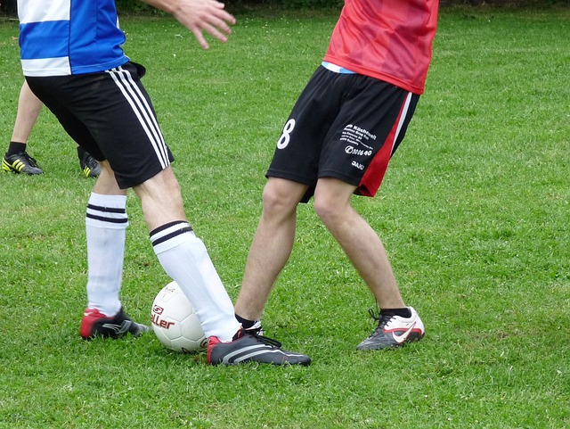 倒性优势夺 倒性优势夺