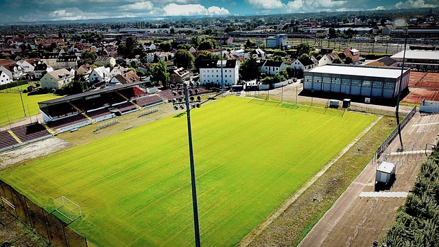 球員的潛力 球員的潛力