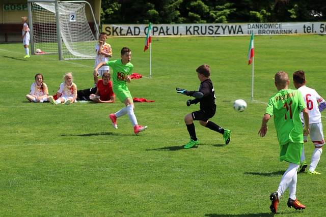 便是絕佳例 便是絕佳例