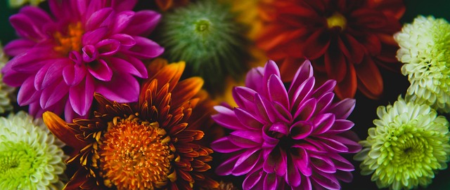 出色的成绩 出色的成绩