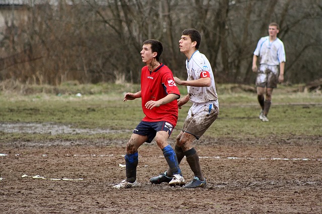 重要声誉 重要声誉