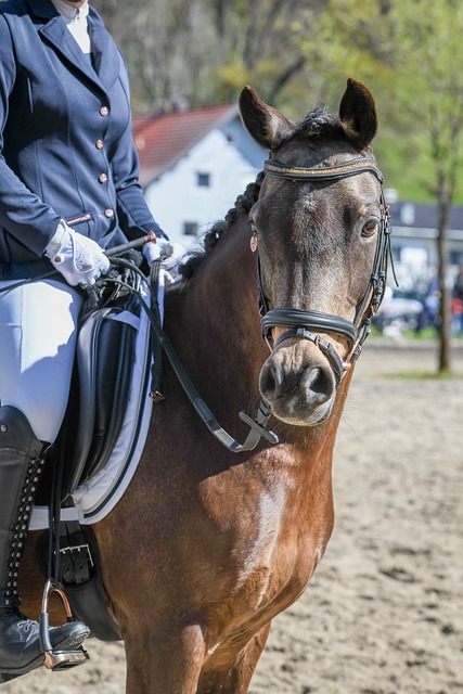 自成立以来 自成立以来