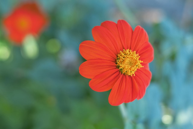 的重要影響 的重要影響